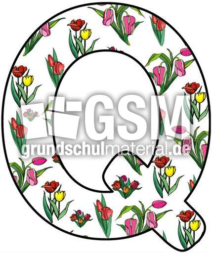 Tulpen-Buchstabe-Q.jpg